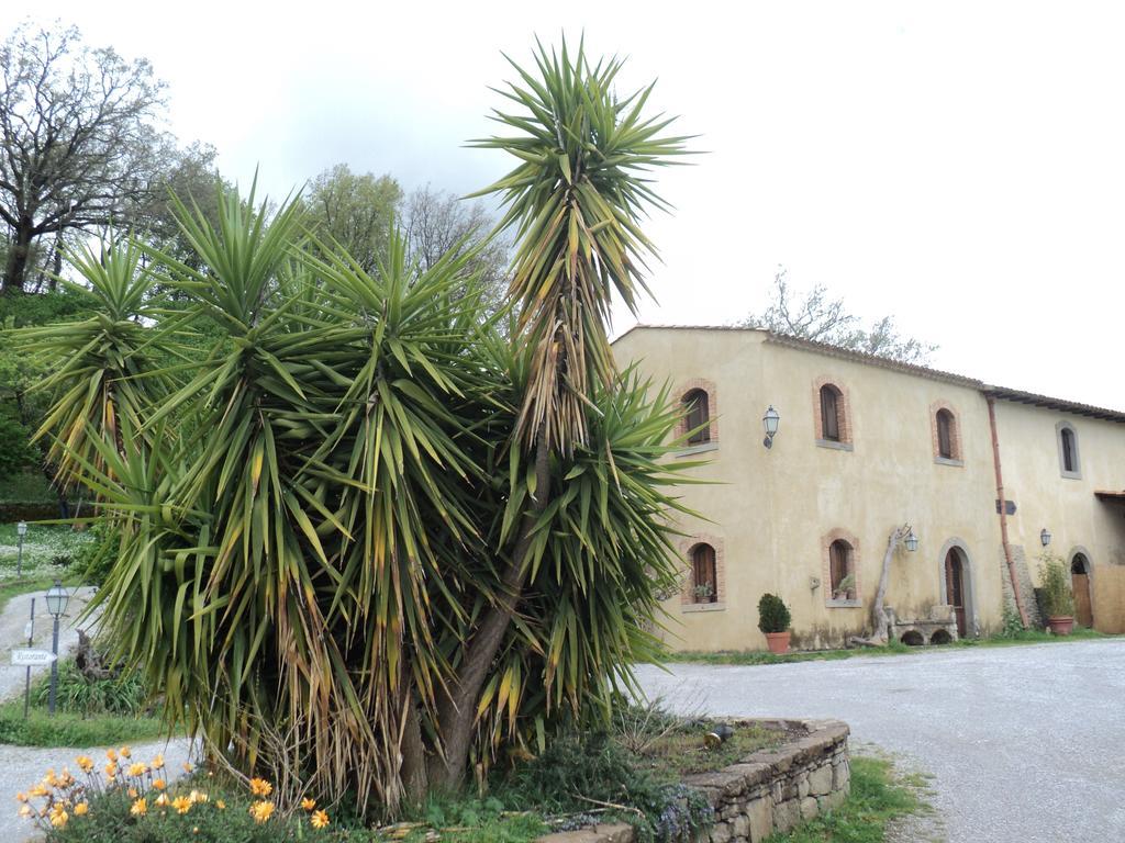 Agriturismo Il Daino Villa San Piero Patti Ngoại thất bức ảnh